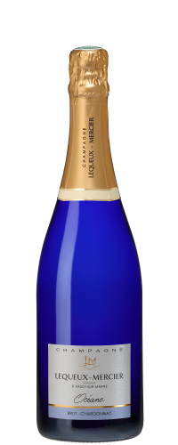 BRUT OCÉANE